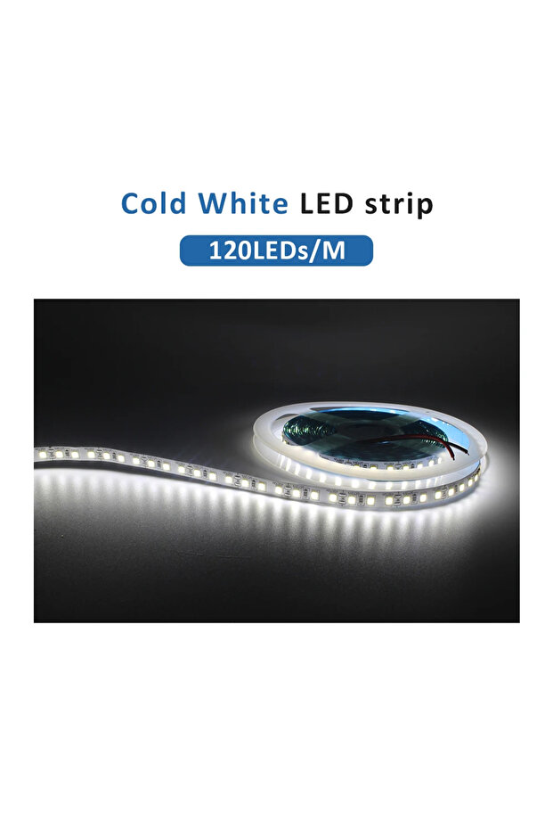 12V 120LEDs CW 12V 24V SMD2835 LED Strip Light 120leds/m 240leds/m 5M Flex Ribbon White Golden Yello