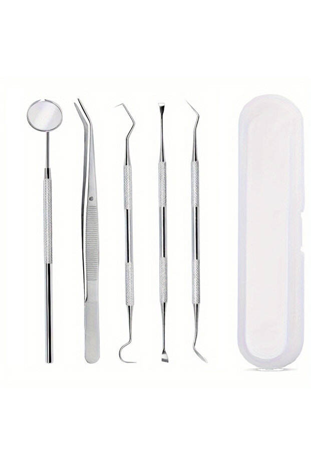 5PCS plastic box Professional Dental Cleaning Kit Stainless Steel Oral Hygiene Tools, Interdental Cl