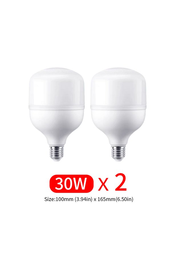 Cold White 220V(189-265V) 30w 2-5pcs LED Bulb AC 220V E27 LED lamp 60W 50W 40W 30W 20W 15W 10W 7W 3W