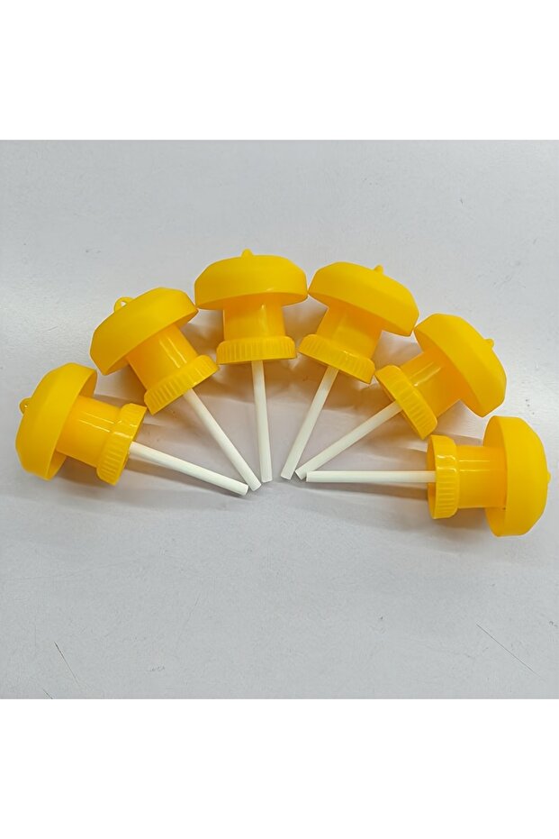6 pcs Bait Caps 6pcs Fruit Fly Hijab Pest Trap for Orchard Sweet Potato Vegetable Fields Orchard Fru