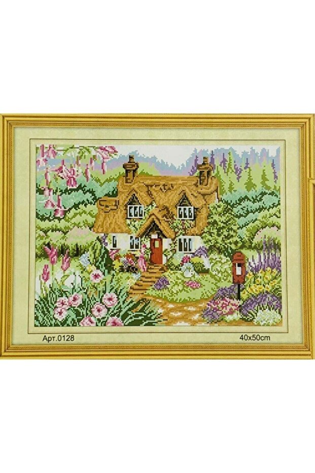 Tapestry Etamine Embroidery Set 40X50 cm 128