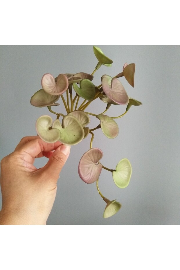 C 15cm Artificial Plant Mini Bouquet Copper Coin Grass Soft Glue Fake Green Plants Wall Hanging for.