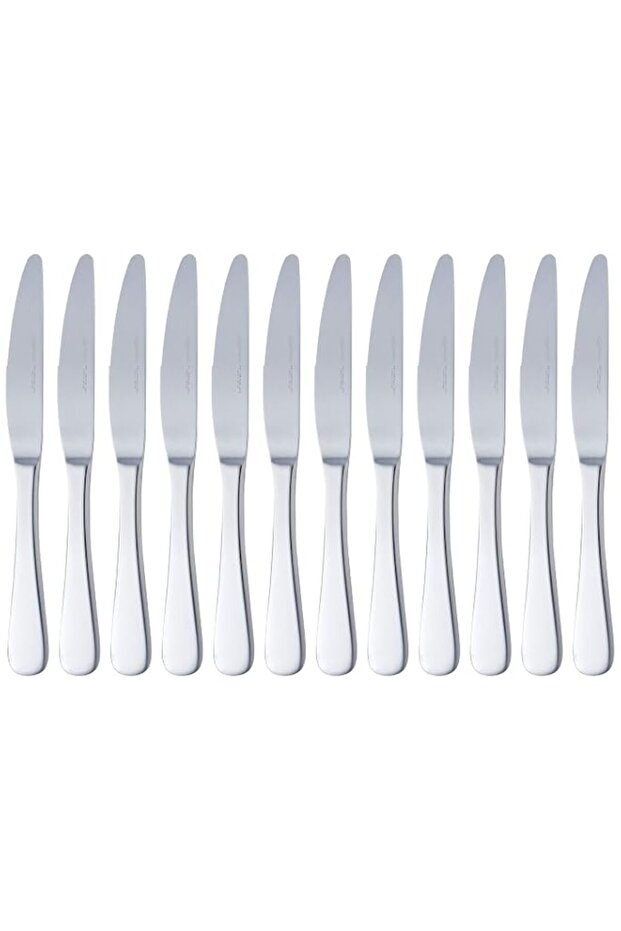 Basics Stainless Steel Dinner Knives With Round Edge, Pack of 12, Silver