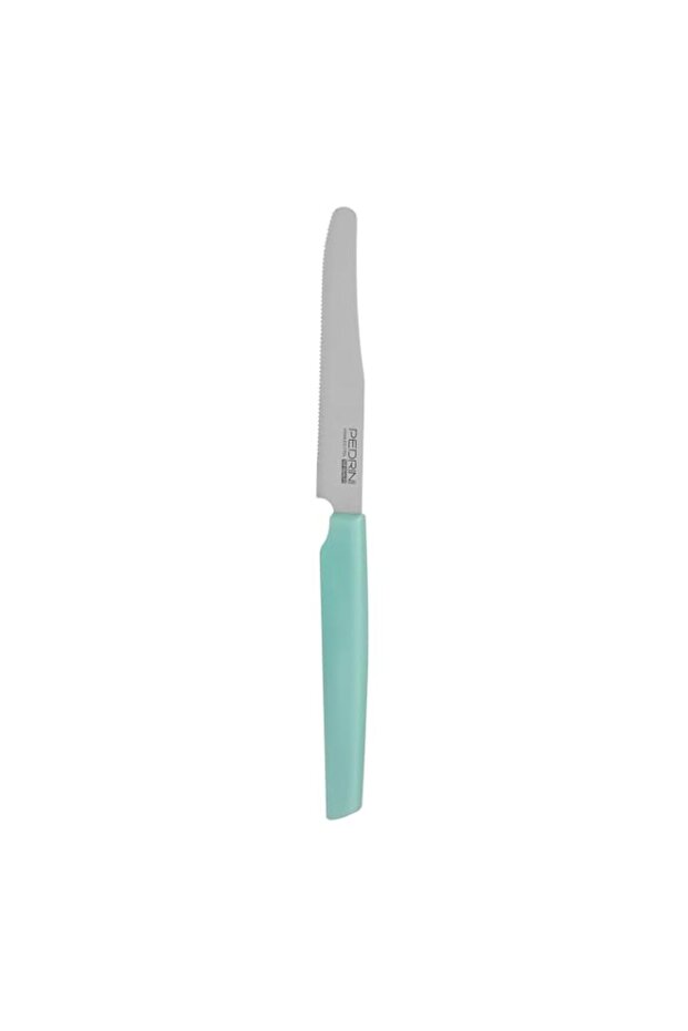 TABLE KNIVES SET 6PCS MINT HANDLE