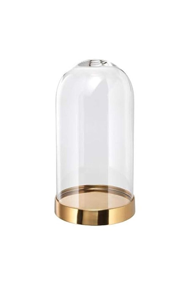 BEGAVNING Glass dome with base