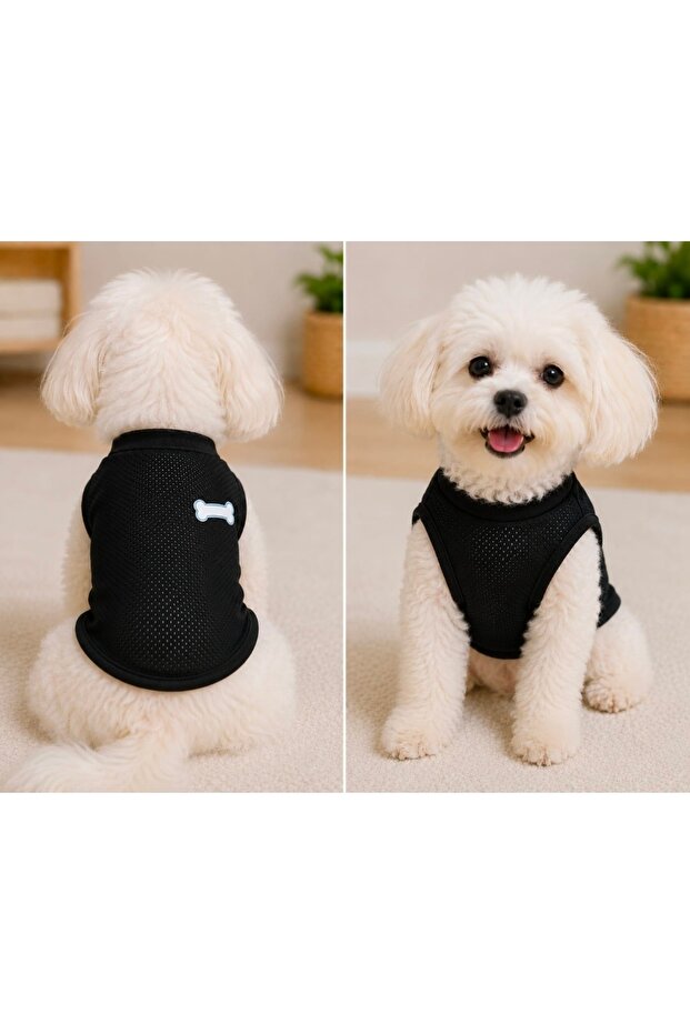 Dog and Cat Black Mesh Tshirt