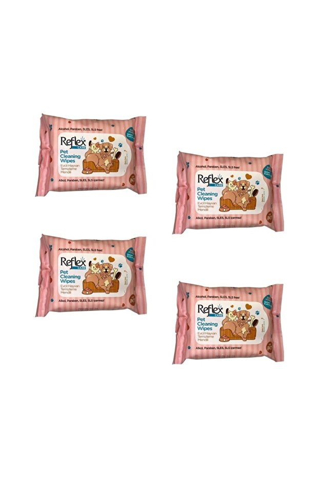 Cleaning Wipes 10 Pack X 4 Pieces