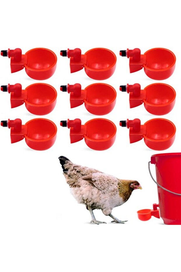 6 chicken waterers, automatic.