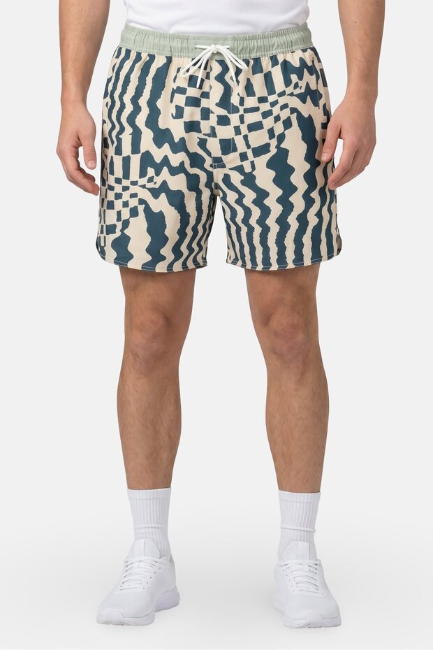 Men Allover Print Basic Shorts, Multicolor