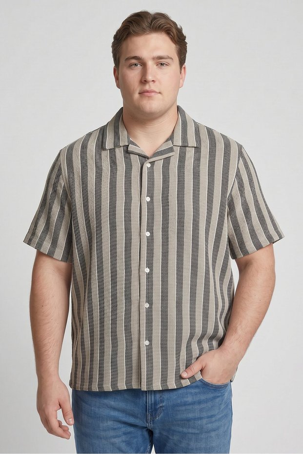 Men Regular Fit Stripe Short Sleeve Casual Shirt, Multicolor