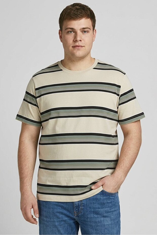 Men Crew Neck Short Sleeve Stripe T-Shirt, Multicolor