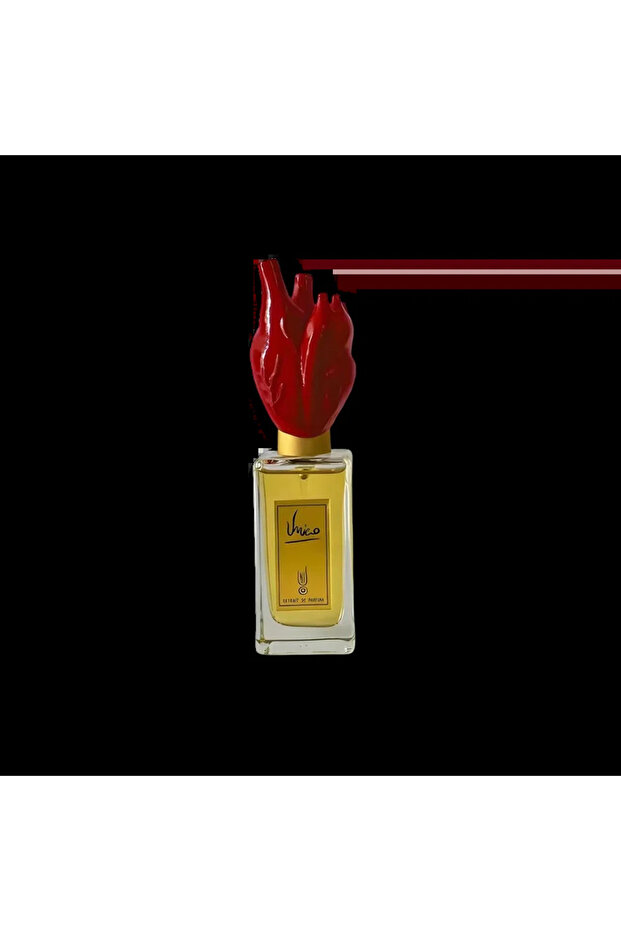 Perfumes Extrait de Parfum 30ml for Unisex
