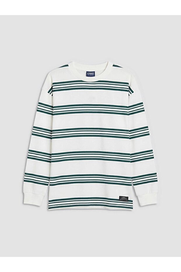 Crew Neck Striped Long Sleeve Boys' T-Shirt (W6)