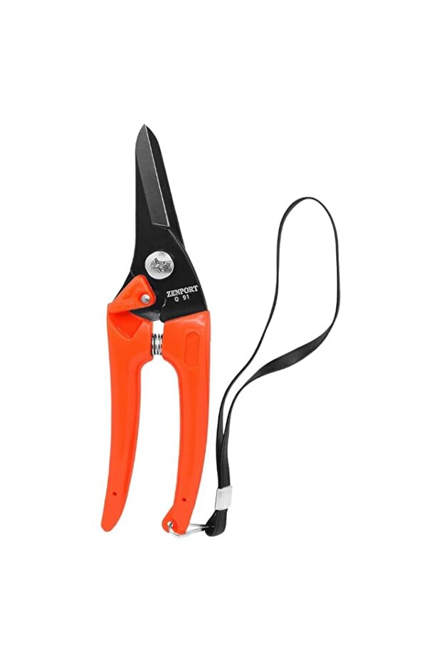 Zenport Q91