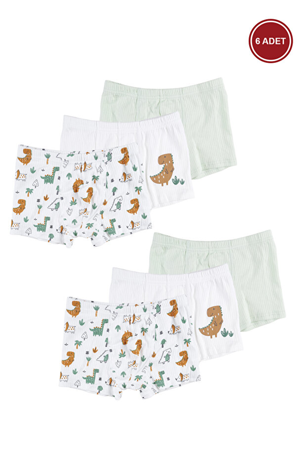 Boys' Cotton Ribbed 6-Piece Patterned Boxers