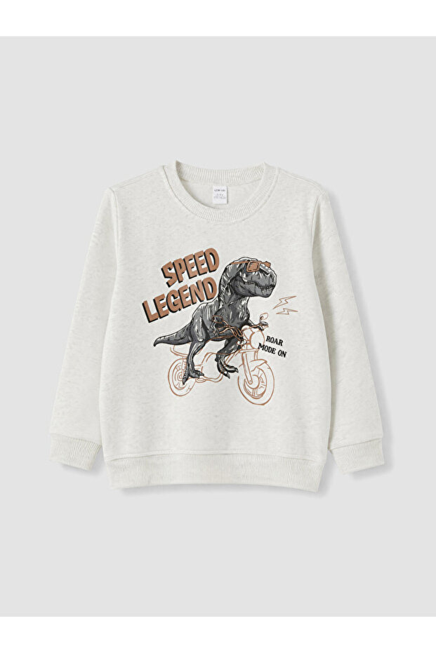Esvab • Modern & Distinctive Printed Boys' Sweatshirt