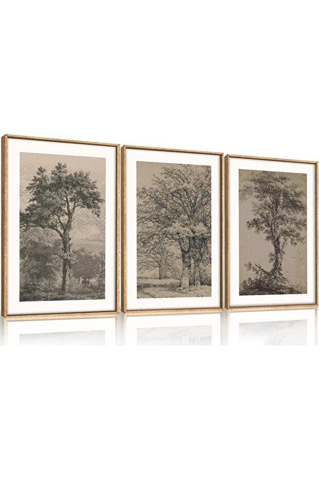 Signtouch Tree Sketch Antique Nature Wall Art 3-Piece Wooden Frame 50x70 cm