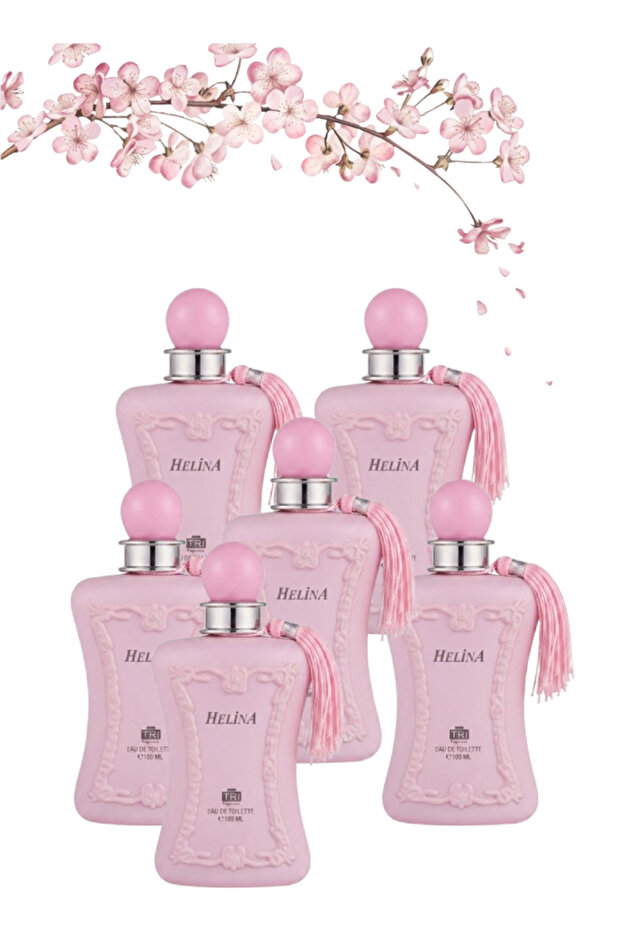 6 قطع Helina Perfume 100مل