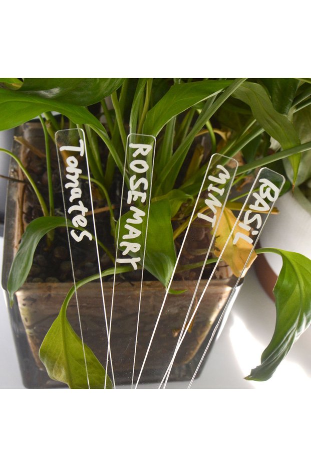 1set Transparent Eco-friendly Acrylic Herb Signs Plant Label Eco-Friendly Acrylic Plant Tag T-Ty...