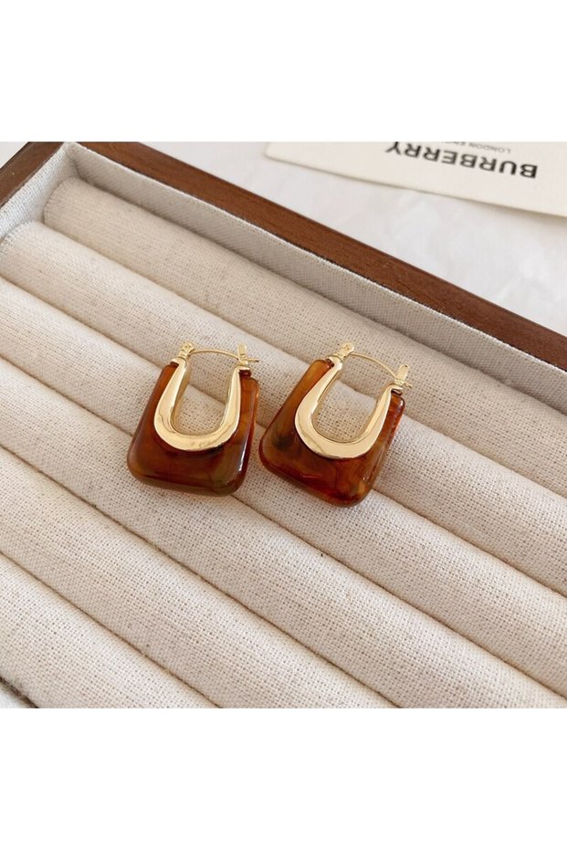brown Green Pink Transparent Resin Earrings For Women Geometric Irregular Stud Earrings 2023 New Tre