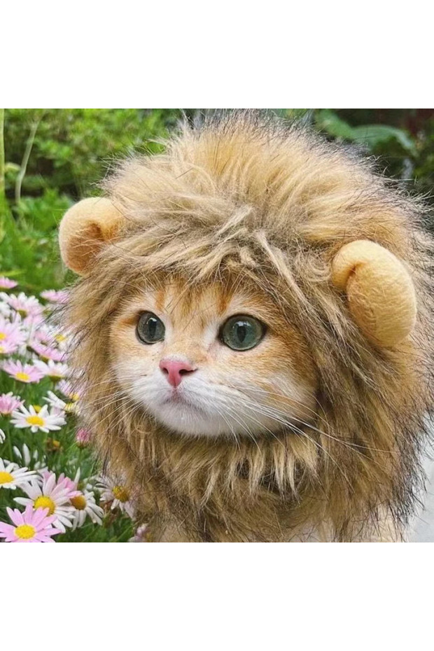 S brown Cat Hairpiece Humorous Lion Mane Headgear for Dogs and Cats Adjustable Costume Accessories f
