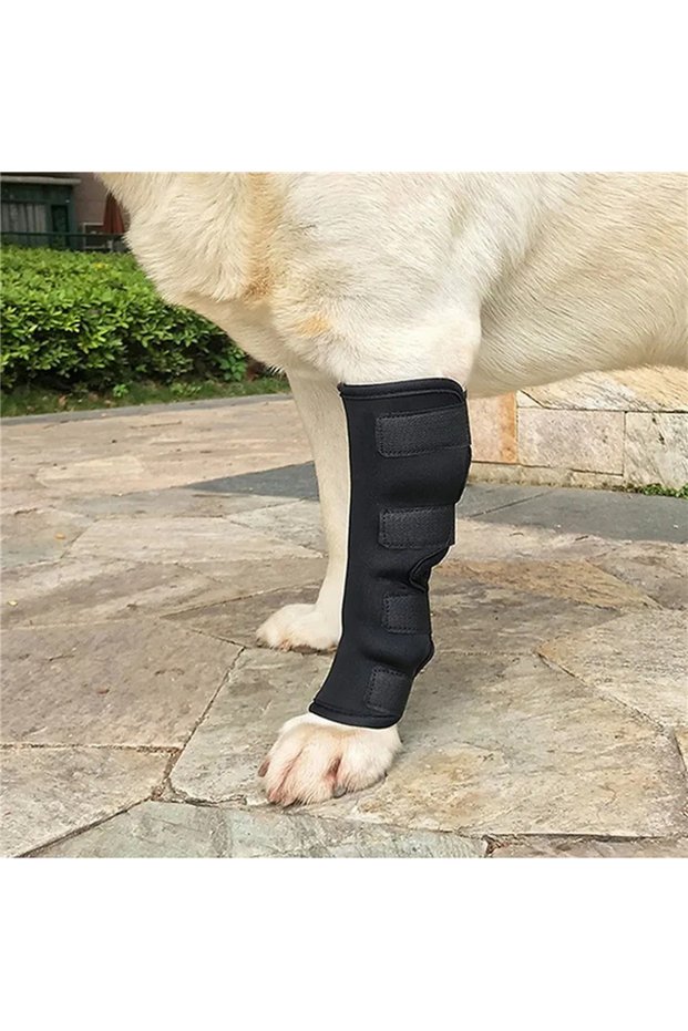 S as picture 2PCS 1Pair Pet Knee Pads Support Brace for Leg Hock Wrap Injury Recover Legs Dog Prote