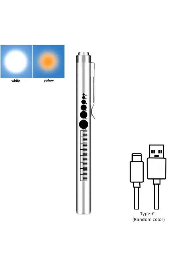 Oral01-Sliver Mini Portable Penlight LED Flashlight Oral Pupil Medical Handy USB Rechargeable Stainl