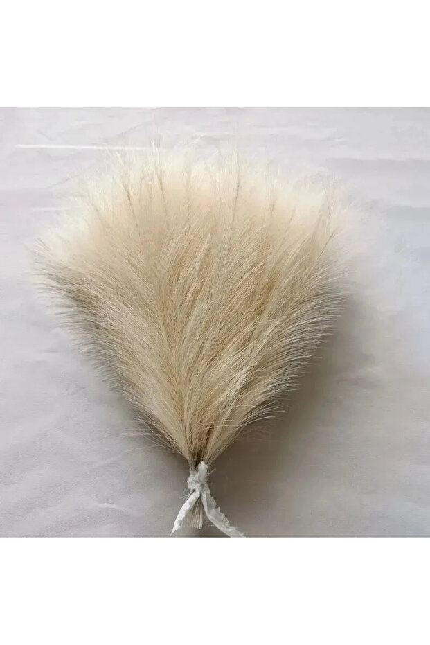 beige 10PCS/lot Artificial Flowers Fluffy Pampas Grass Bouquet for Wedding Home Party Vase Decoratio