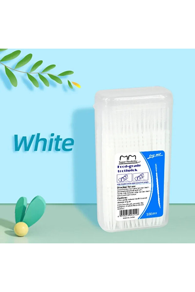 C685-White 100pcs 100/200/400/1000pcs Toothpick Brush Boxed Plastic Toothpick Disposable Household I