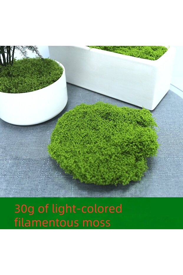 Light green 30g Moss 30/50/100g Artificial Green Plants Moss Grass Home Living Room Garden Decoratio