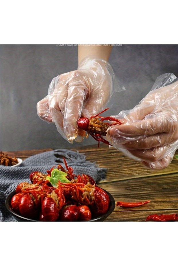 500PCS 100/200/500PCS Disposable PE Gloves Plastic Gloves Terrace Pet Supplies Salon Catering Servic