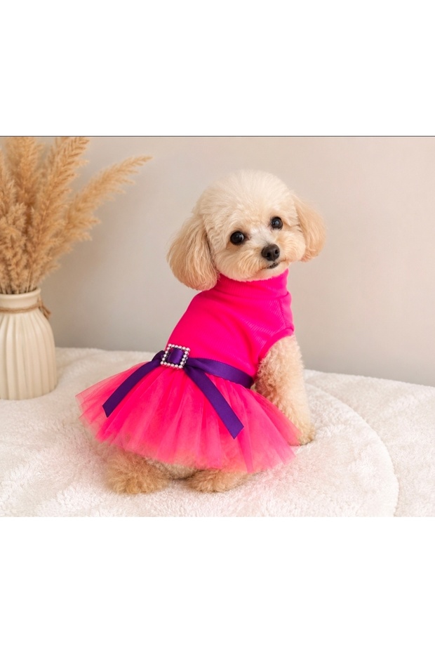 Dog suit neon pink tutu dress