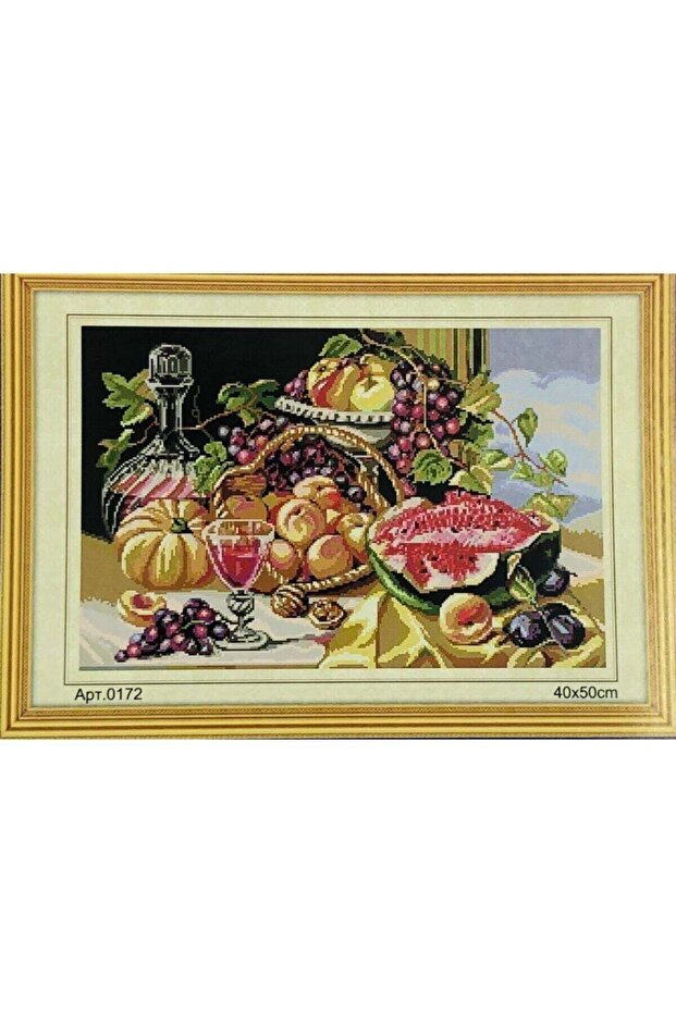 Tapestry Etamine Embroidery Set 40X50 cm 172