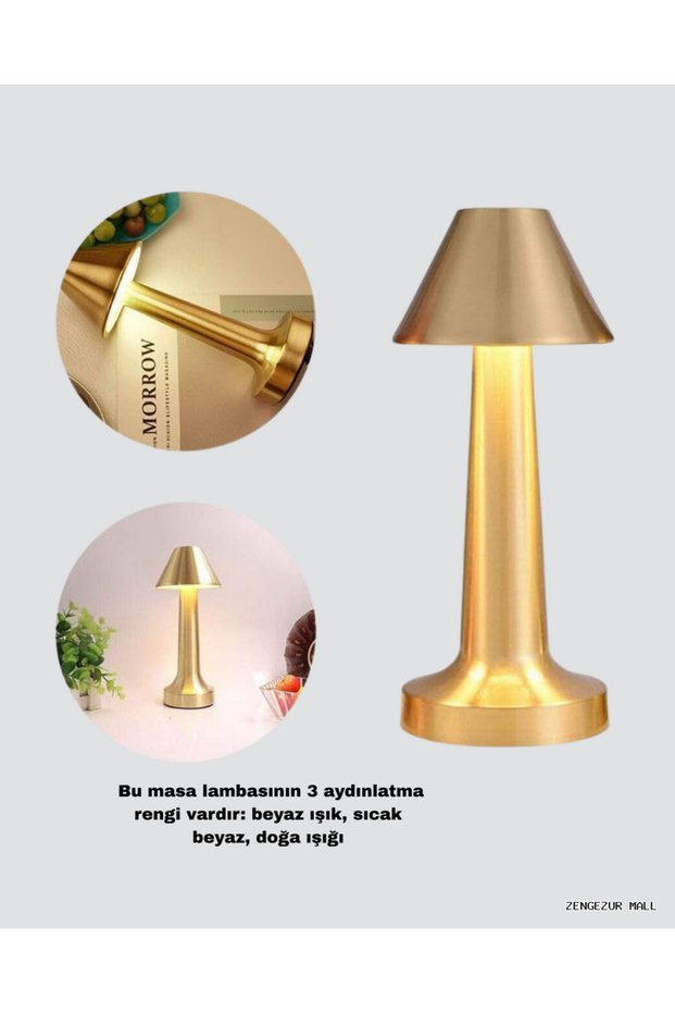 Zengezur Modern Metal Table Lamp 3 Light Colors Stepless (163719) Adjustable Brightness