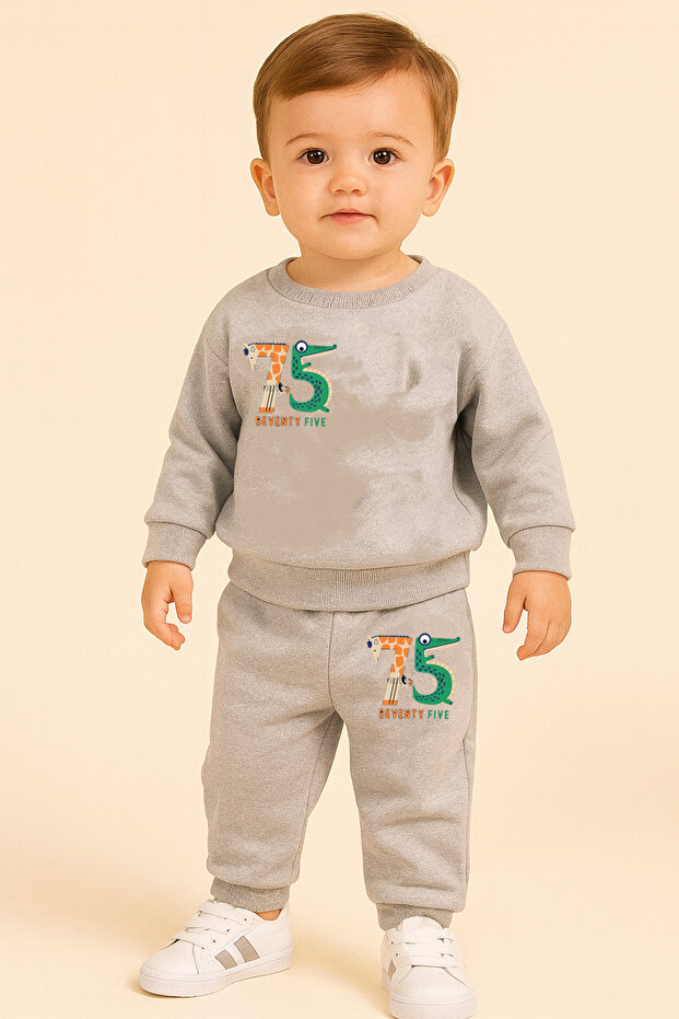 Boy's Sweatshirt Set Gray 75