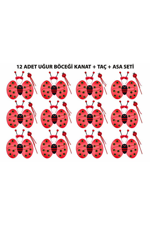 Ladybug Costume Set - Wing Crown Scepter 3 Pieces 12 Pieces Bx40