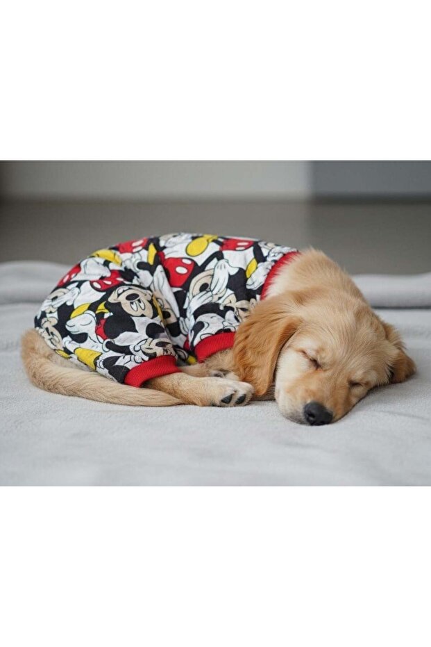 Miniş Mikili Red Small Breed Dog Flexible Sweatshirt Combed Cotton Jumpsuit Pajamas