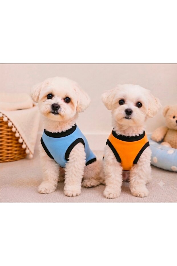 Dog and Cat Blue Mustard Duo t Shirt