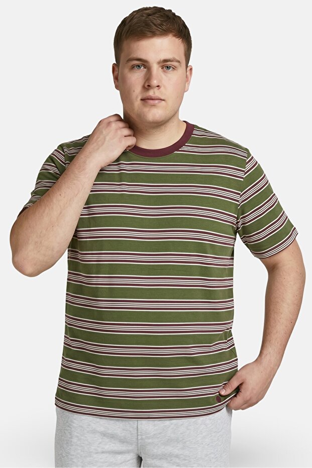 Men Crew Neck Short Sleeve Stripe T-Shirt, Multicolor