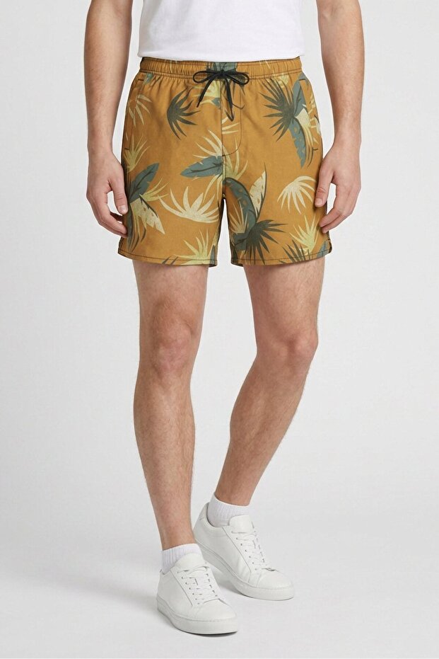 Men Allover Print Basic Shorts, Multicolor