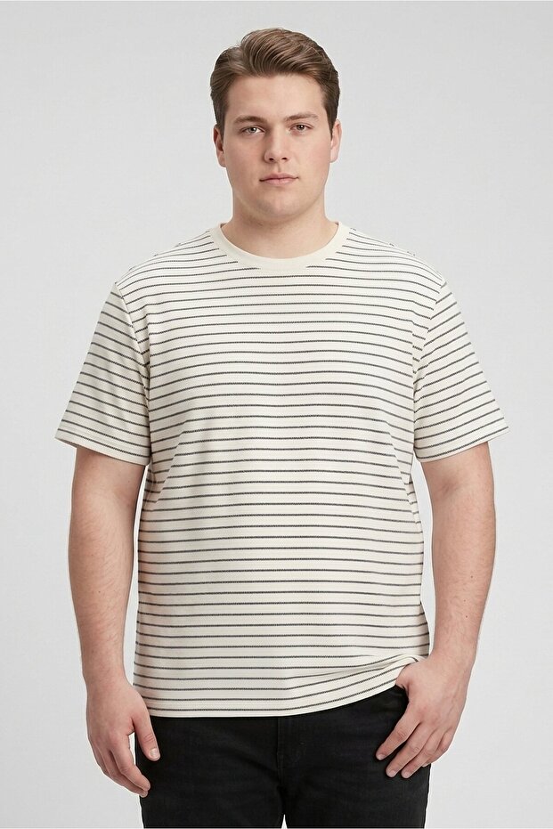 Jeans Co Men Crew Neck Short Sleeve Stripe T-Shirt, Multicolor
