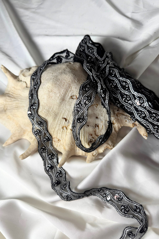 Silvery Sequin Embroidered Wavy Lace [1Mt]