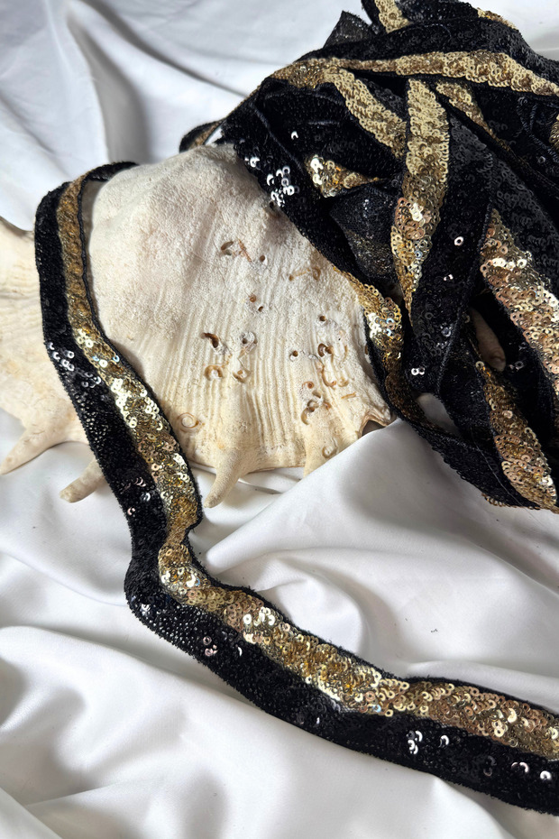 Two-Color Sequin Embroidered Ribbon [1Mt]