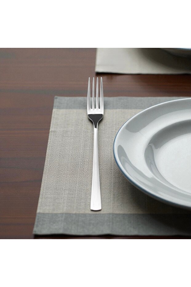 6 pieces stainless steel dinner forks
