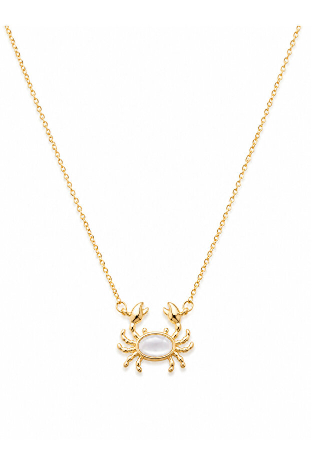 Steel Crab Necklace