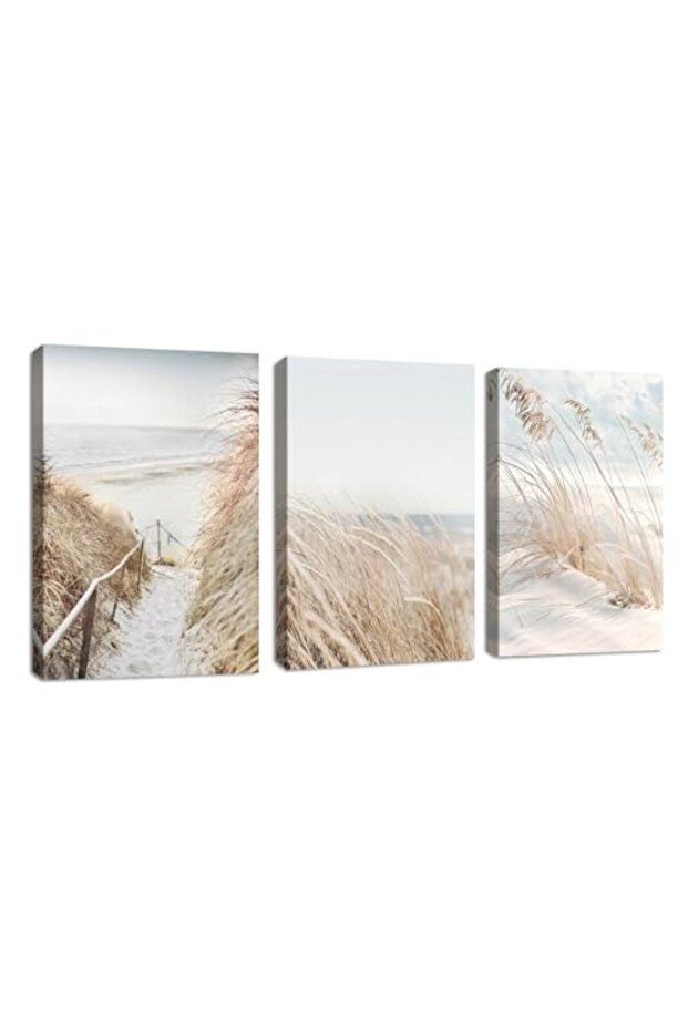 Signtouch Snow Beach Landscape Wrap Framed Canvas Wall Art Set of 3 40x60 cm