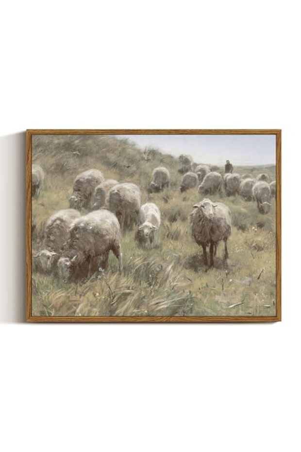 Signtouch Sheep Dunes Canvas Wall Art Outer Frame 50x70 cm
