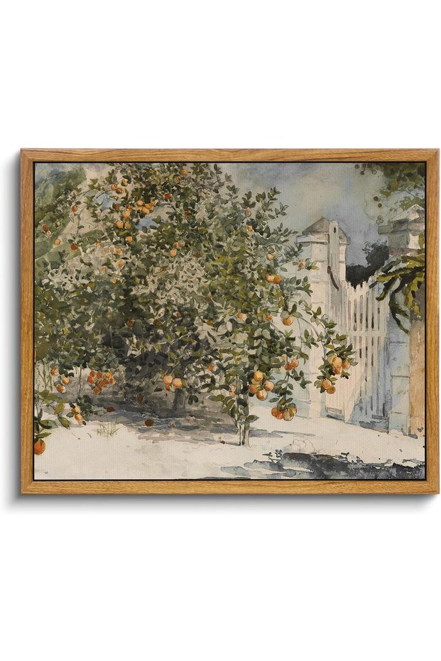 Signtouch Orange Trees Gate Vintage Still Life Wall Art Outer Frame 50x70 cm