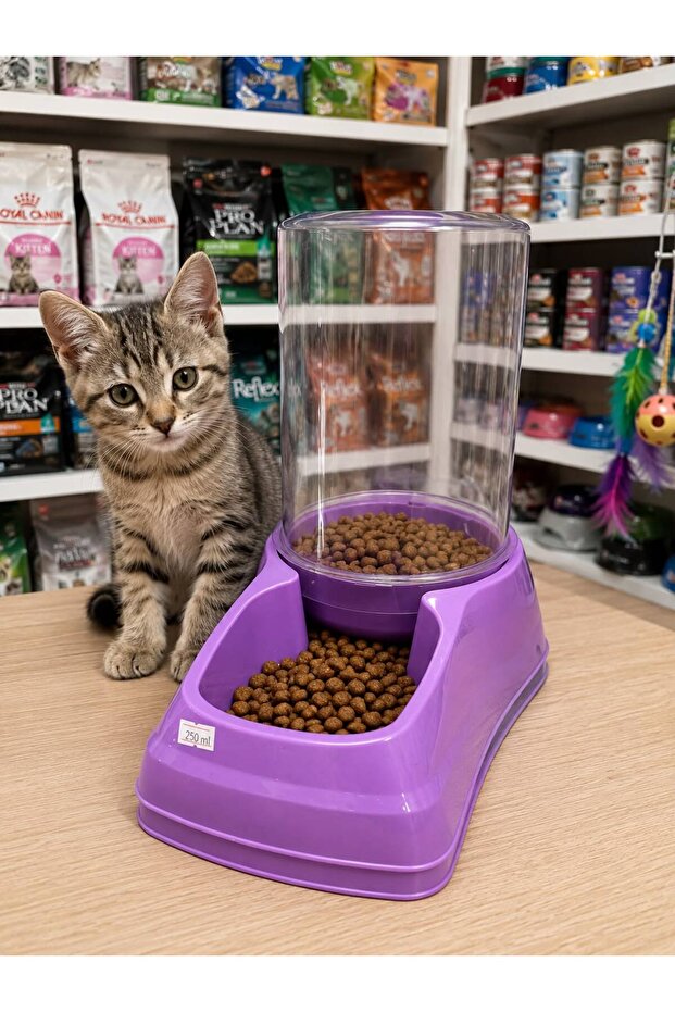 Kedi Su