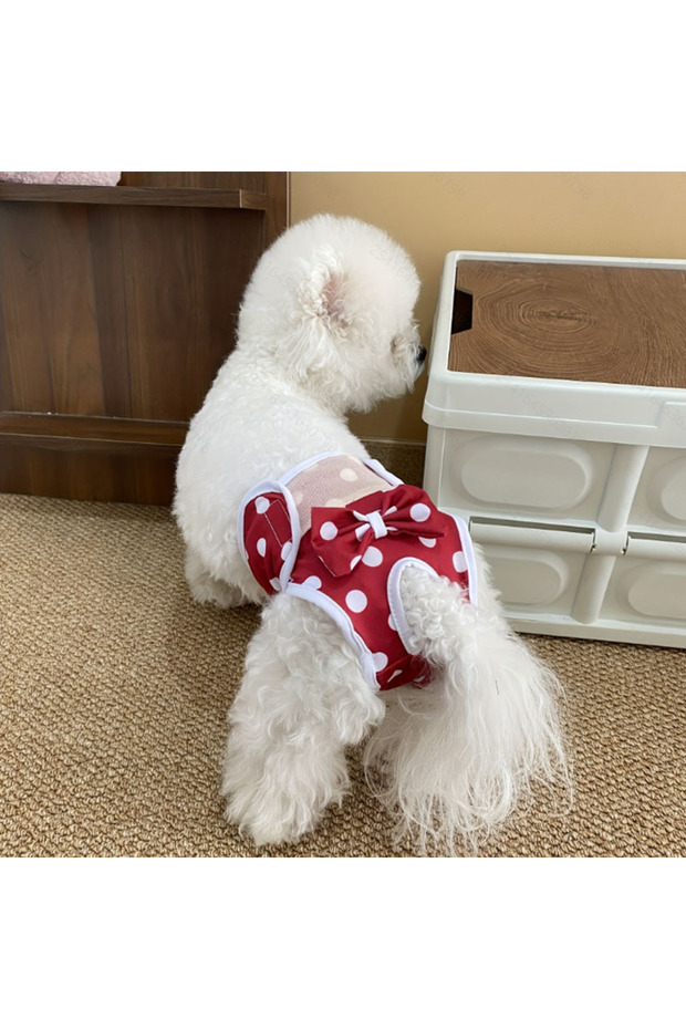 S Red Reusable and Adjustable Dog Diaper Pants - High-Quality Breathable Mesh Menstrual Pants, Suita